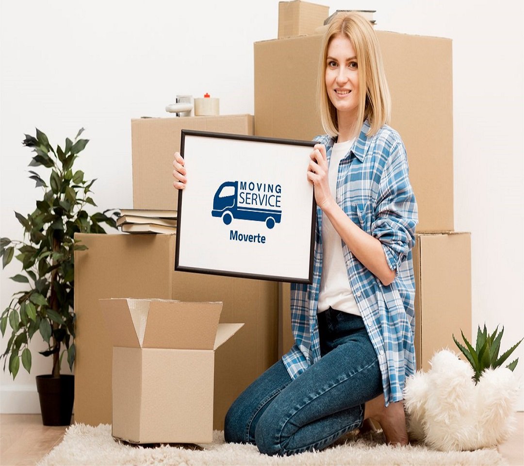 Multi Packers And Movers Transport